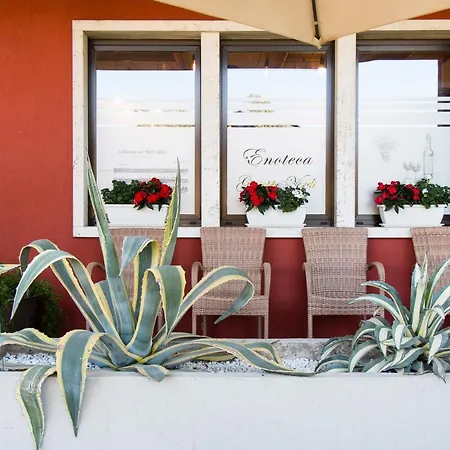 Boninsegna - Wine Enoteca Verdi -